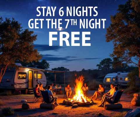 stay 6 nights get 7th night free
